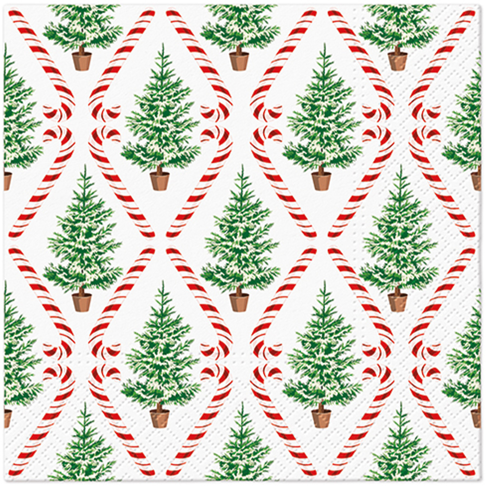 Obrúsky PAW L 33x33cm Candy Cane Forest