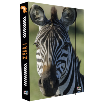 Box na zošity A4 Zebra