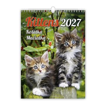 Nástenný kalendár 2027 Kittens/Koťátka/Mačičky