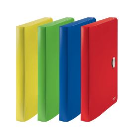 Box na spisy Leitz Recycle