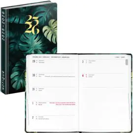 Diár Petito B6 týždenný 2025/2026 MONSTERA