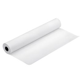 Epson 420/15.2/Ultrasmooth Fine Art Paper Roll, 17", C13S042074, 250 g/m2, papier, 420mmx15.2m, biely, pre atramentové tlačiarne,