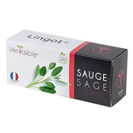 Bio semienka šalvie, Véritable