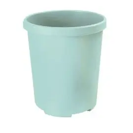 sivá